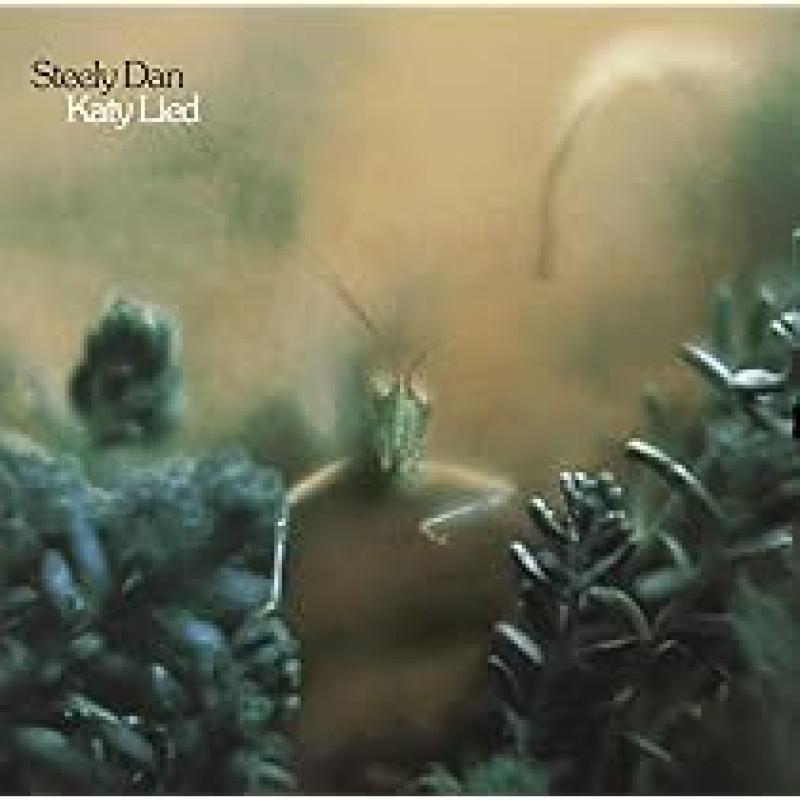 Katy Lied