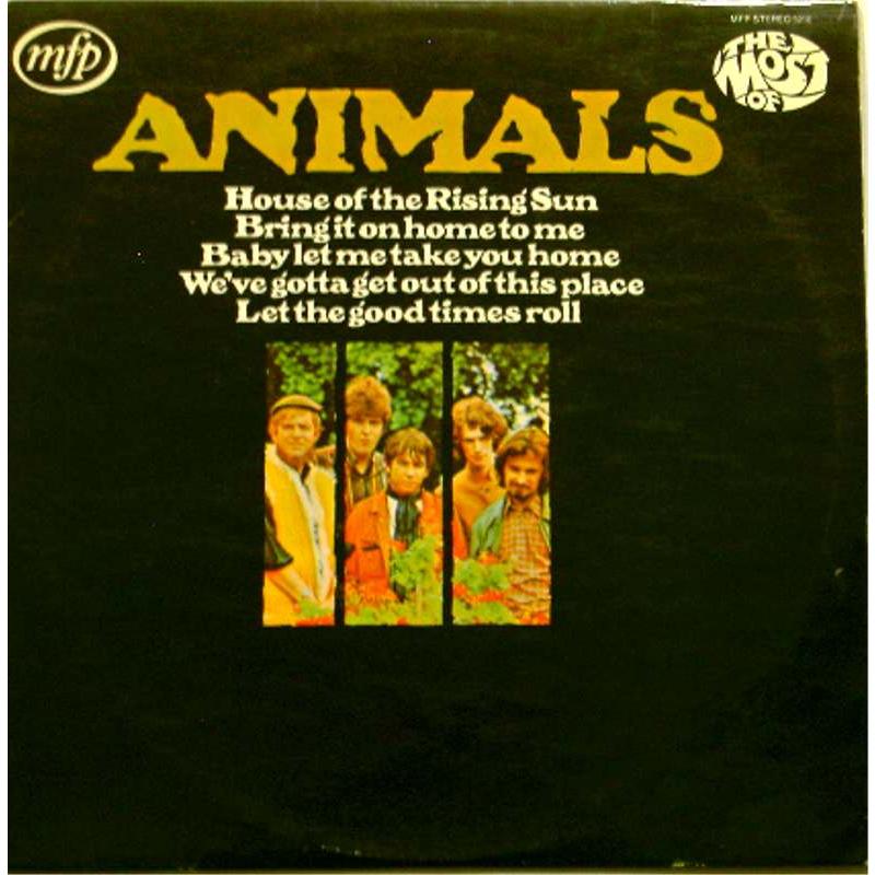 The Most of The Animals